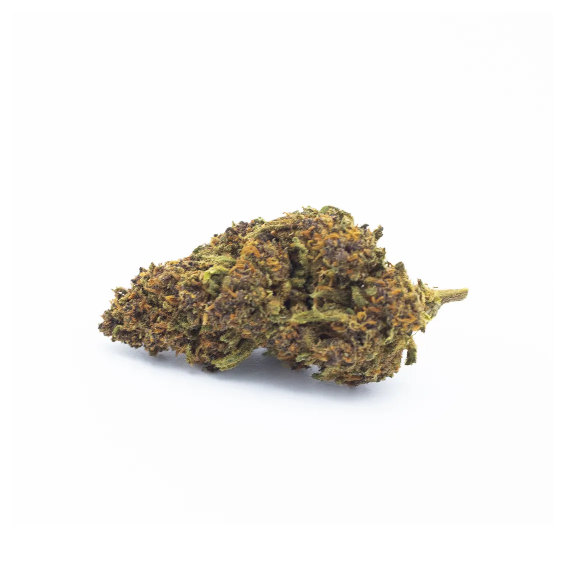 Fleur de CBD - Black Panther-Fleurs CBD Top Shelf – Sélection Premium 🏆-L'ours Vert