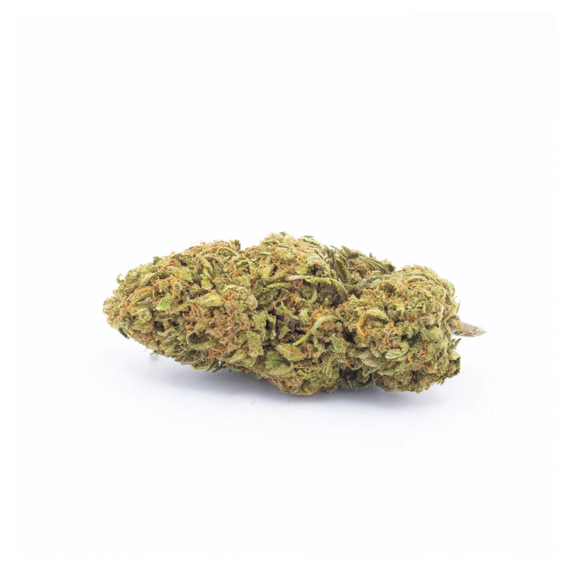 Fleur de CBD - Lemon Diesel-Fleurs CBD Top Shelf – Sélection Premium 🏆-L'ours Vert