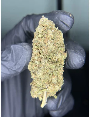 Fleur CBD - Lemon Kush-Fleurs de CBD-L'ours Vert