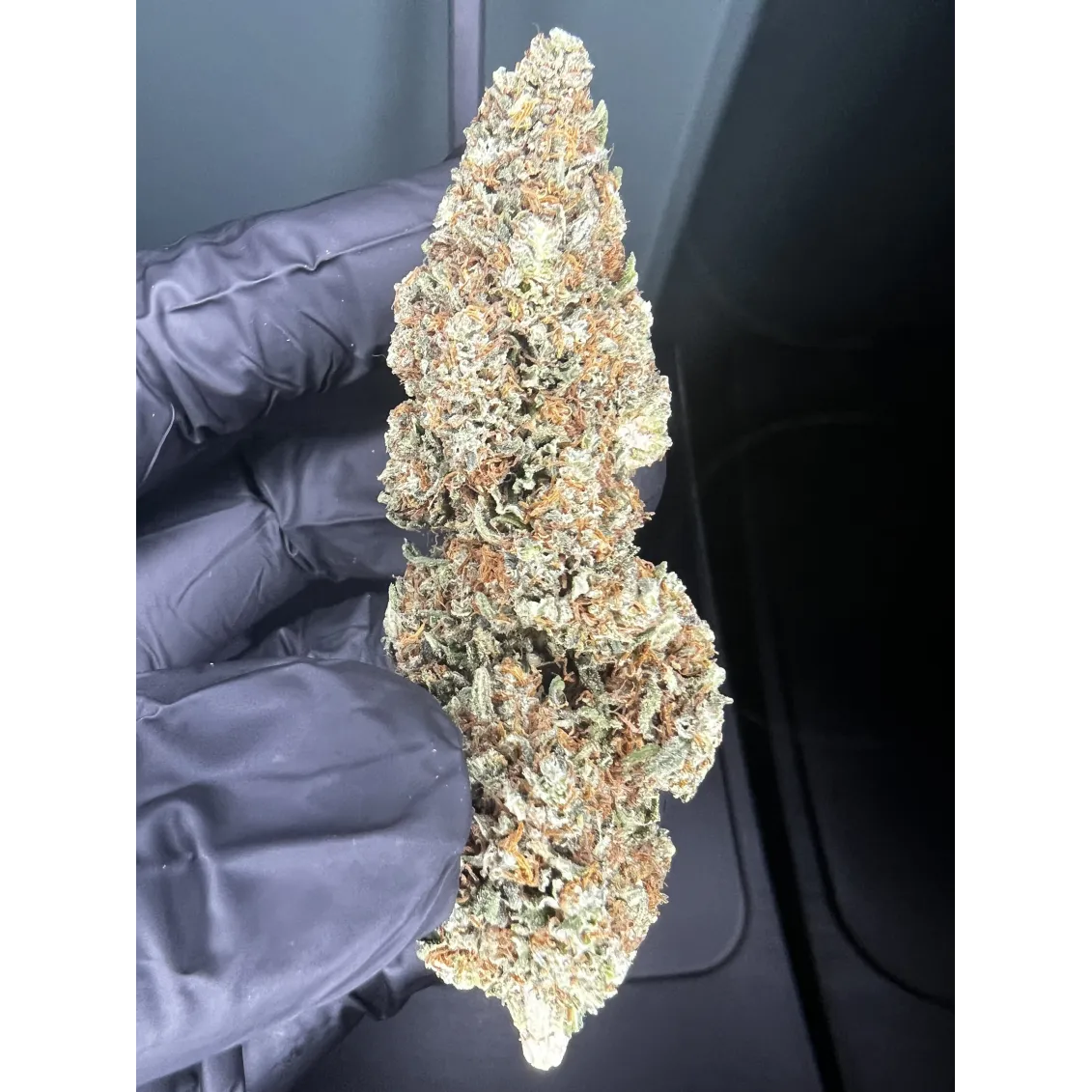 Fleur de CBD - Skunk Jam-Fleurs CBD-L'ours Vert