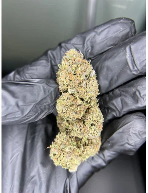 Fleur de CBD - Yak Pudding-Fleurs de CBD-L'ours Vert