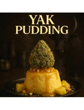 Fleur de CBD - Yak Pudding-Fleurs de CBD-L'ours Vert