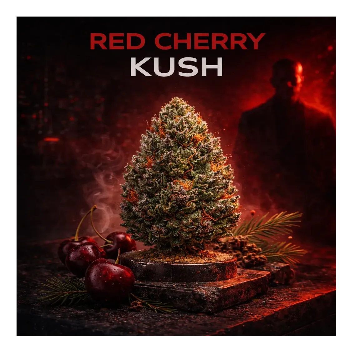 Fleur de CBD - Red Cherry Kush-Grow by L'Ours Vert 🐻-L'ours Vert