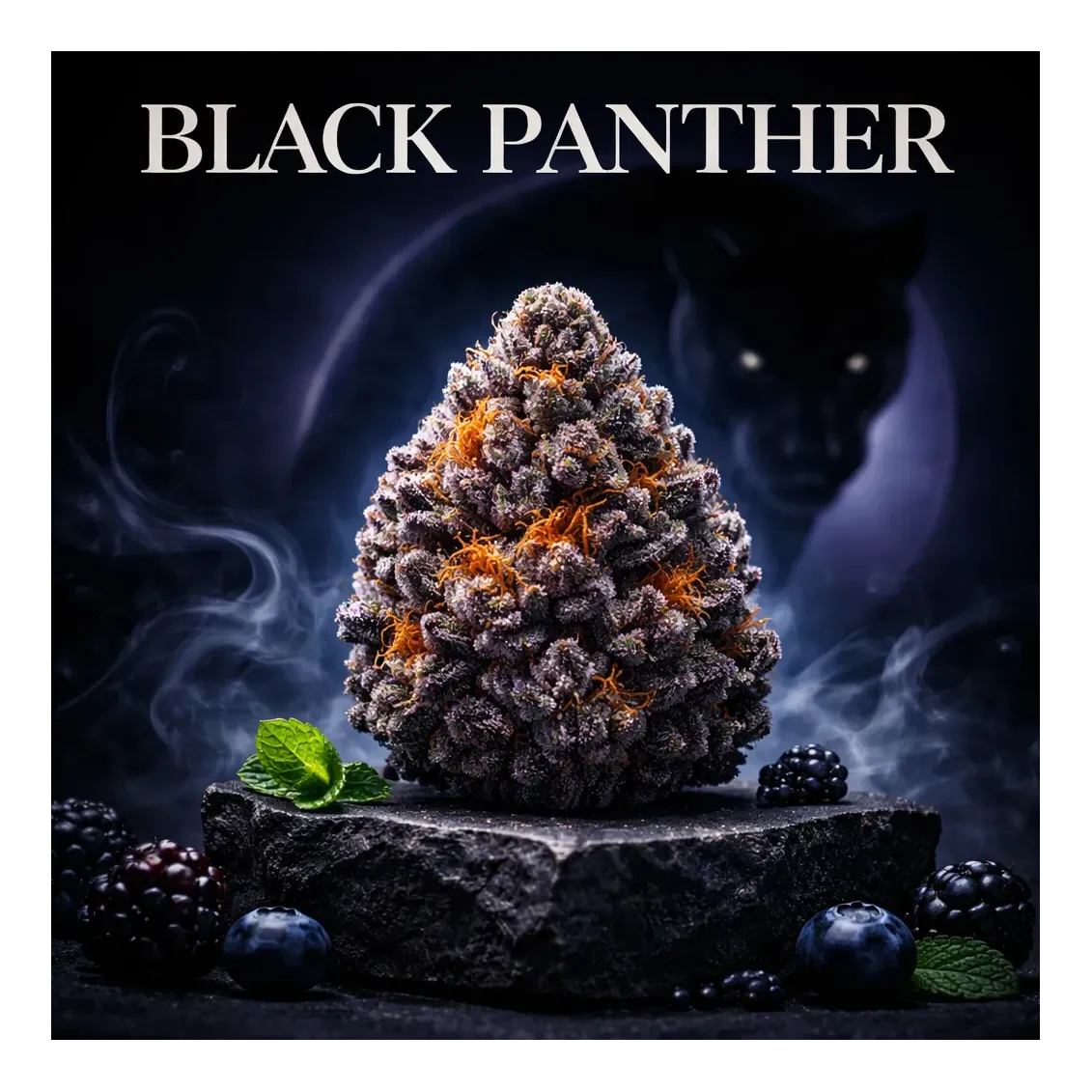 Fleur de CBD - Black Panther-Fleurs CBD Top Shelf – Sélection Premium 🏆-L'ours Vert
