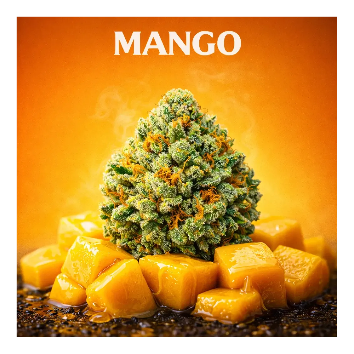 Fleur de CBD - Mango-Fleurs CBD Top Shelf – Sélection Premium 🏆-L'ours Vert
