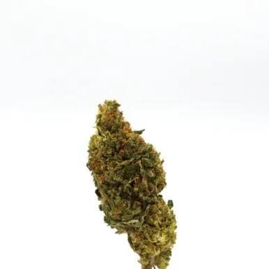 Fleur de CBD - Rocket Sauce-Fleurs de CBD-L'ours Vert