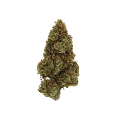 Fleur CBD - Very Cherry Berry-Fleurs CBD-L'ours Vert