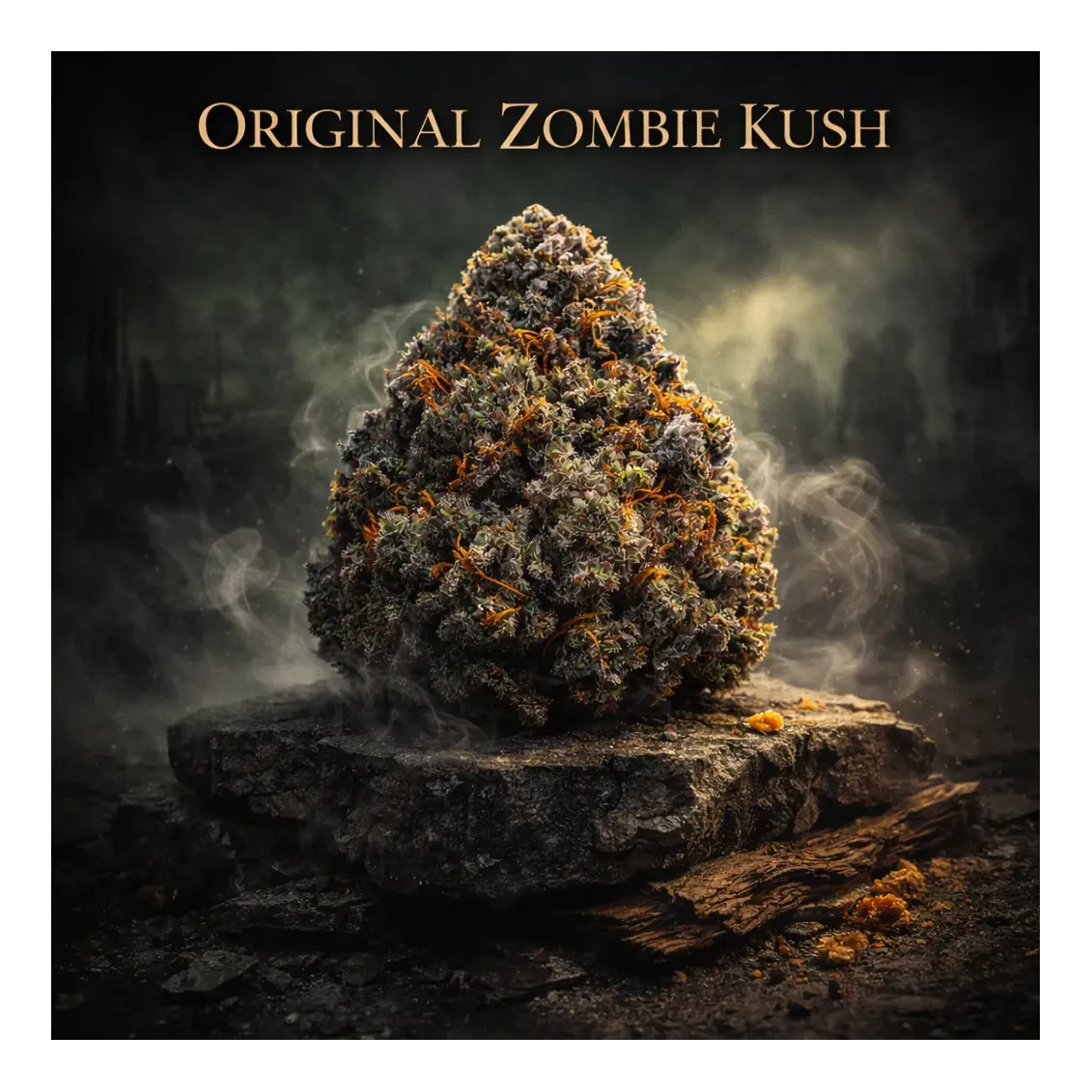 Fleur de CBD - OZK | Fleurs CBD Top Shelf – Sélection Premium 🏆 | l...