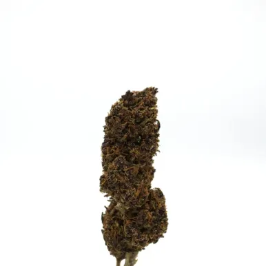 Fleur de CBD - Plookie