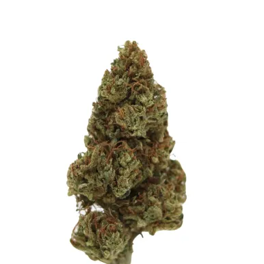 Fleur CBD - Very Cherry Berry-Fleurs CBD-L'ours Vert