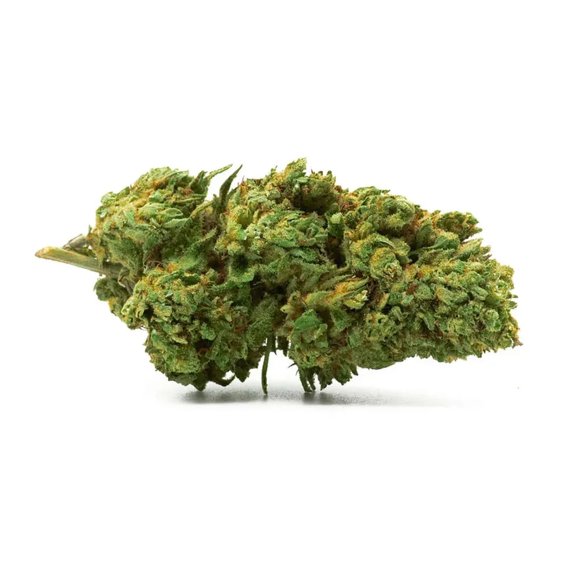 Fleur de CBD - Bubble Berry-Accueil-L'ours Vert