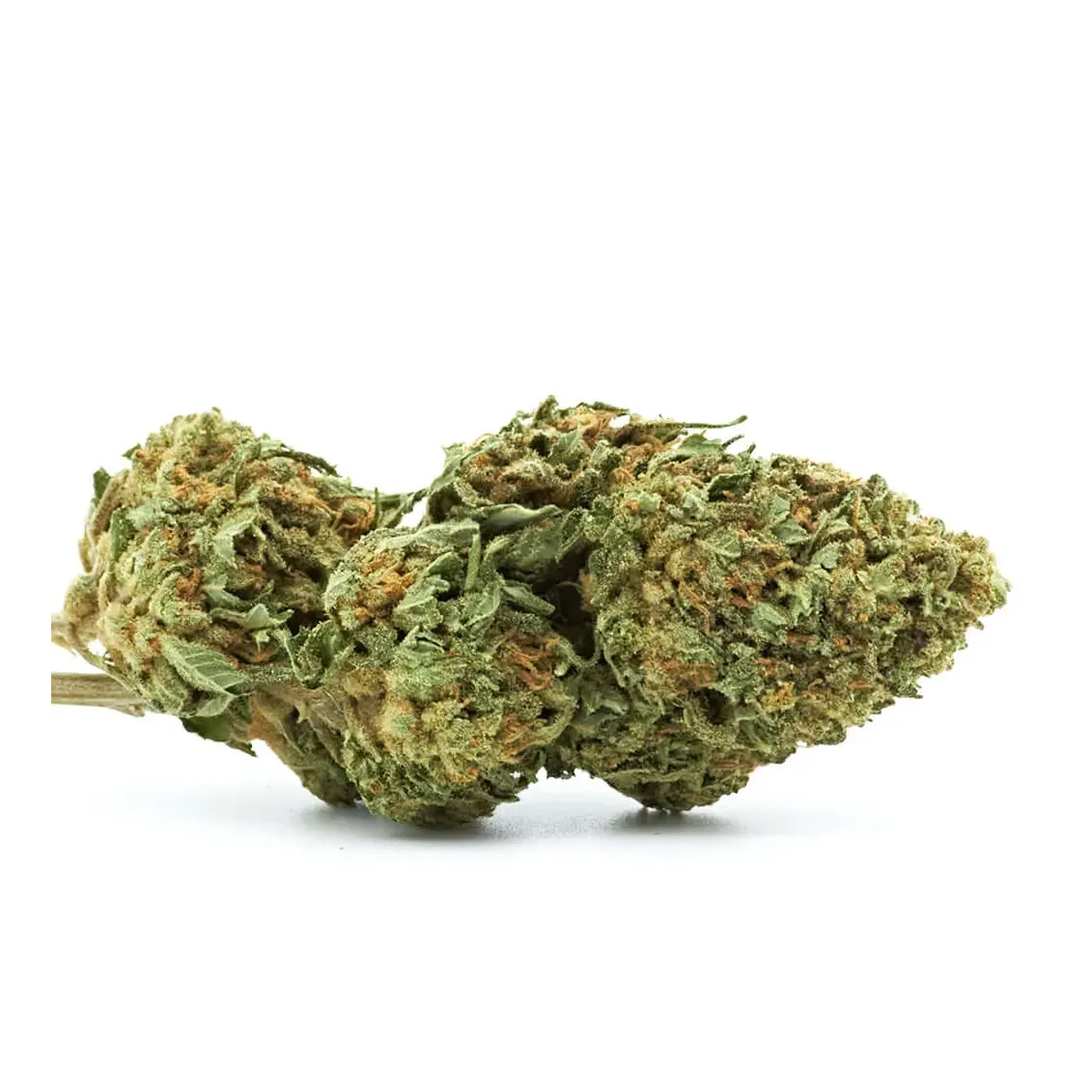 Fleur de CBD - Cheesecake-Accueil-L'ours Vert