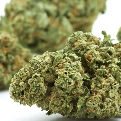 Fleur de CBD - Grape Fruit