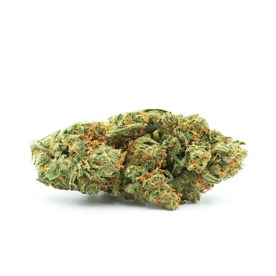 Fleur de CBD - Critical 47-Accueil-L'ours Vert