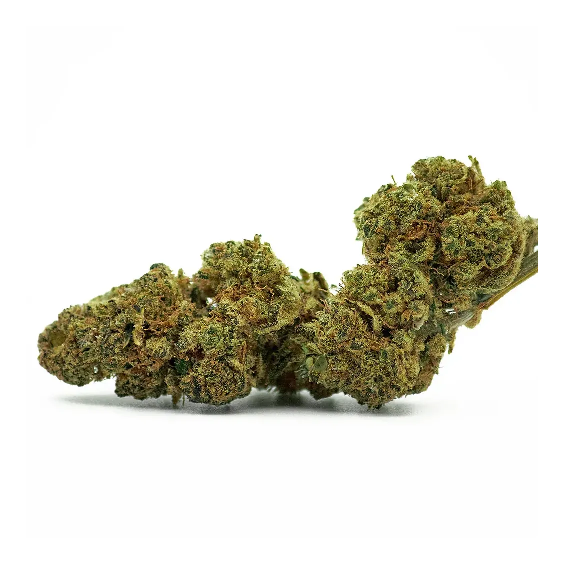 Fleur de CBD - Bubble Gum-Accueil-L'ours Vert