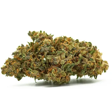 Fleurs CBD - Cat Piss-Accueil-L'ours Vert