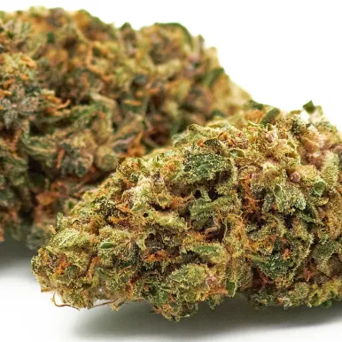 Fleur de CBD - Payton Strawberry-Accueil-L'ours Vert