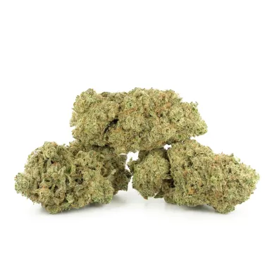 Fleur de CBD - Lemon Nerds-Accueil-L'ours Vert