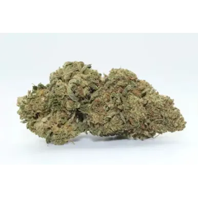 Fleurs CBD - RaspBerry Bear Claw-Accueil-L'ours Vert