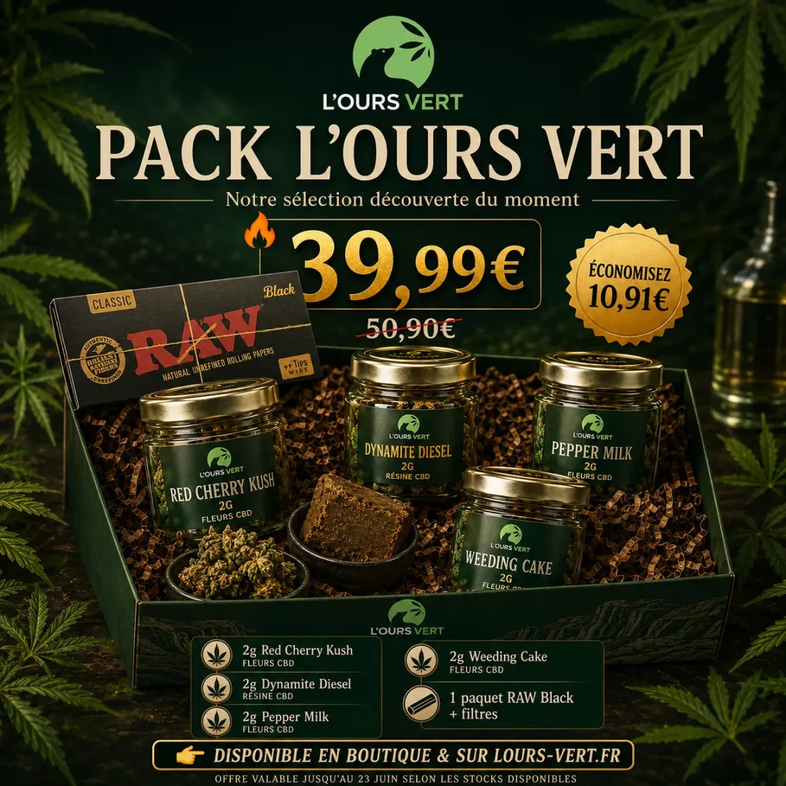 Pack L'Ours Vert