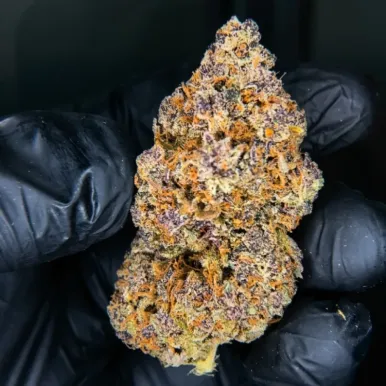 Smoothie CBD | Fleur CBD Premium Française