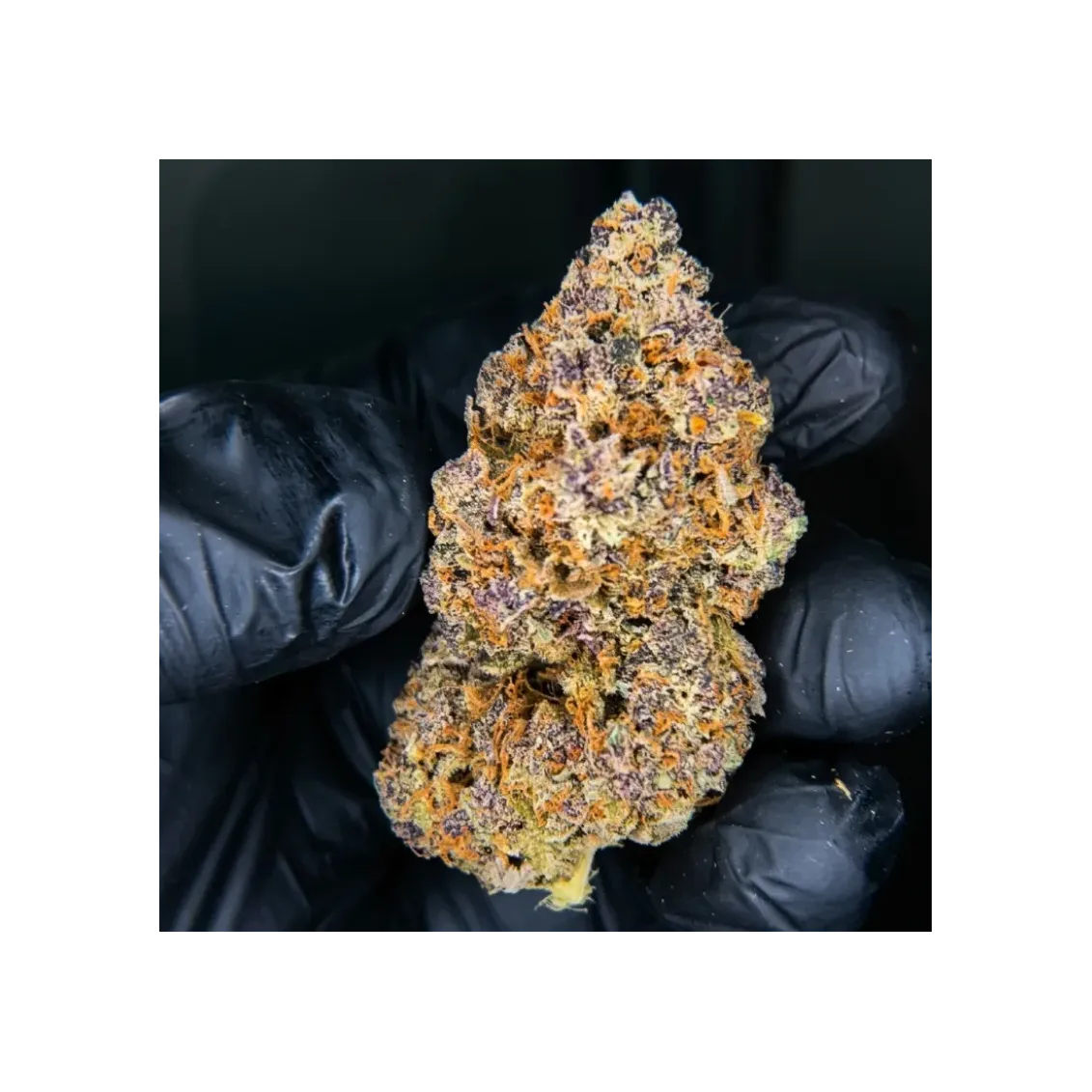 Smoothie CBD | Fleur CBD Premium Française Fleur CBD - Smoothie-Fleurs CBD Top Shelf – Sélection Premium 🏆-L'ours Vert
