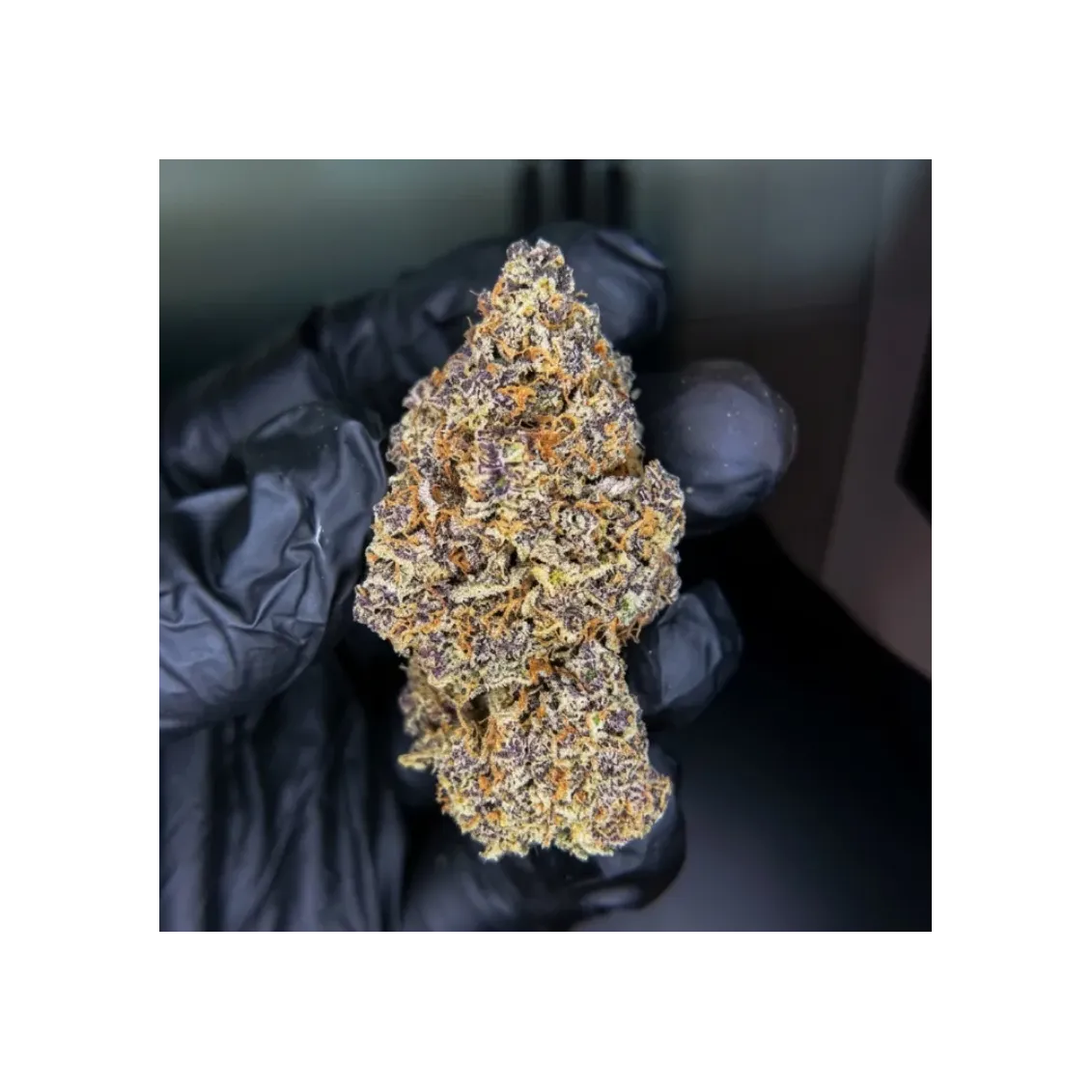 Pineapple Snowcone CBD | Fleur Fruitée & Mentholée