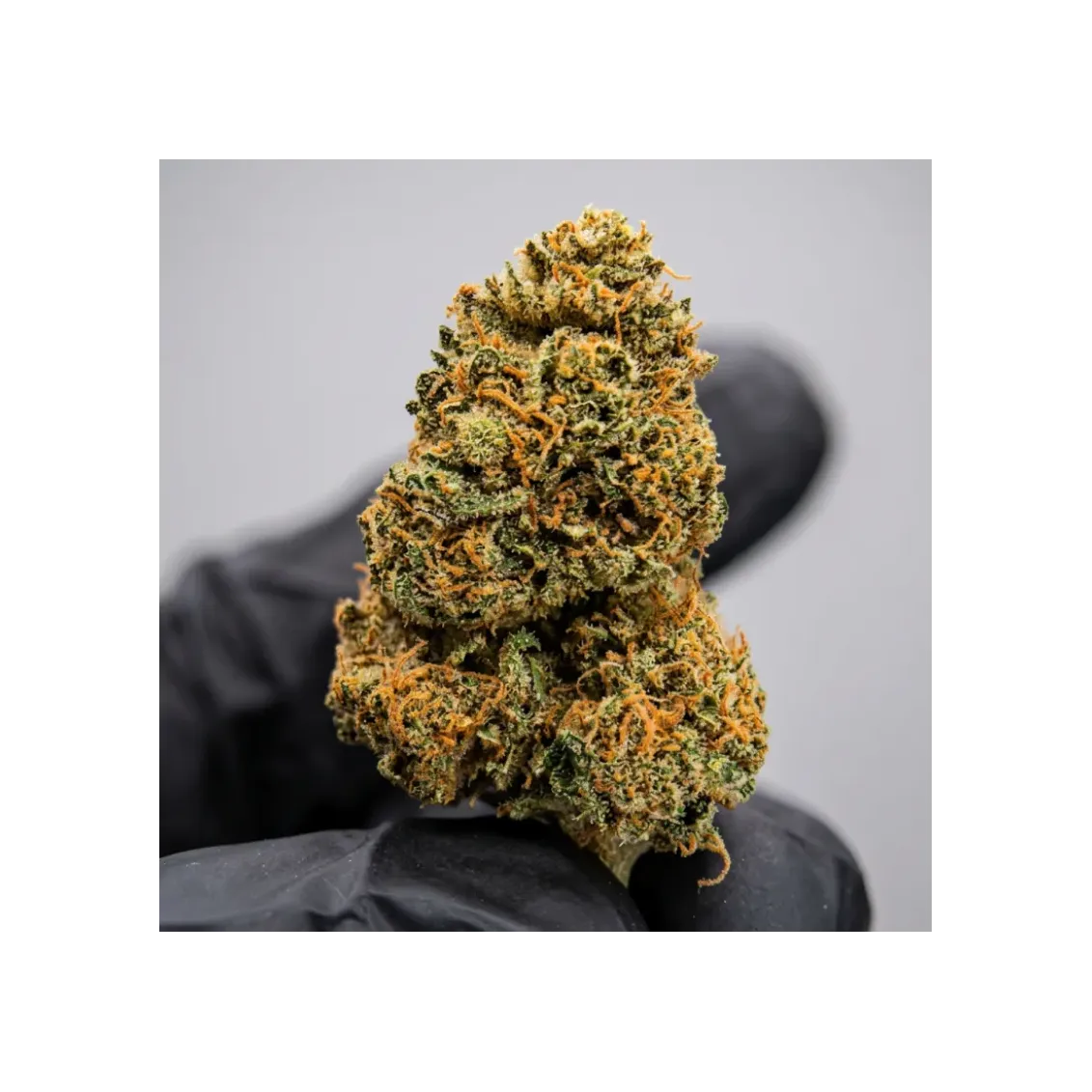 Fleurs CBD - Strawberry Shortcake | Accueil | lours-vert.fr