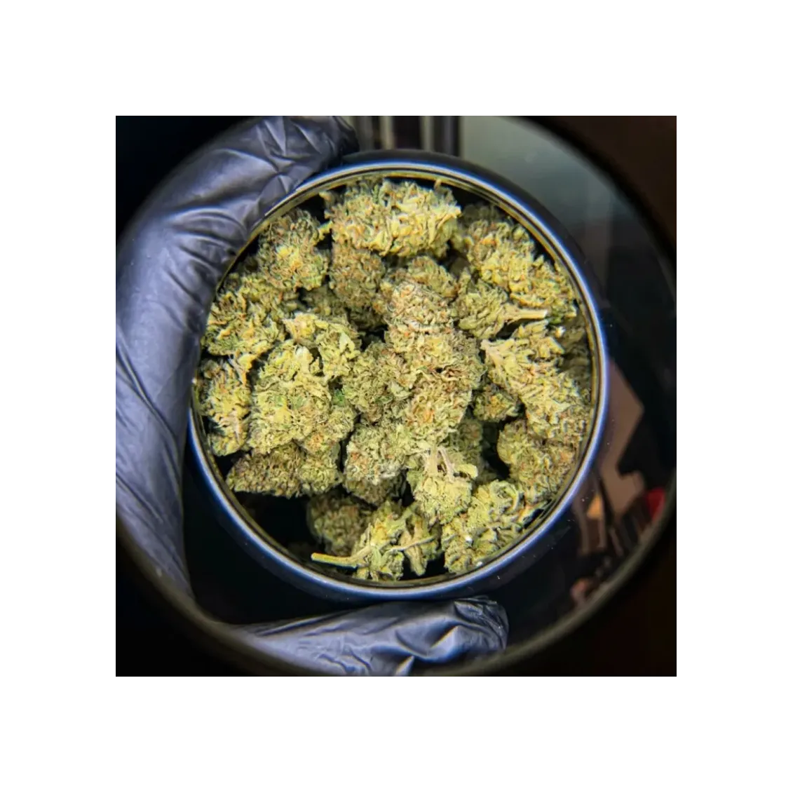 Fleurs CBD - Pepper Milk | Accueil | lours-vert.fr