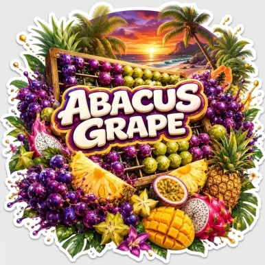 Fleur de CBD - Abacus Grape-Accueil-L'ours Vert