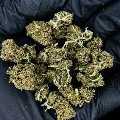 Small Bud - Grape Juice | Fleurs CBD | lours-vert.fr
