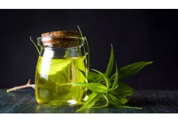 🫒 Faire sa propre huile de CBD maison : la méthode simple, économique et 100 % maîtrisée
