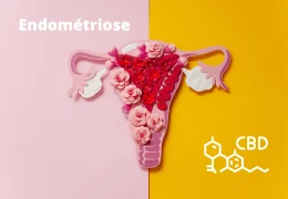 CBD & endométriose : un soutien naturel face à une maladie longtemps ignorée