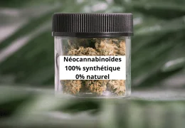 Néo-cannabinoïdes : ce que l’industrie ne vous dit pas – et pourquoi L’Ours Vert les refuse